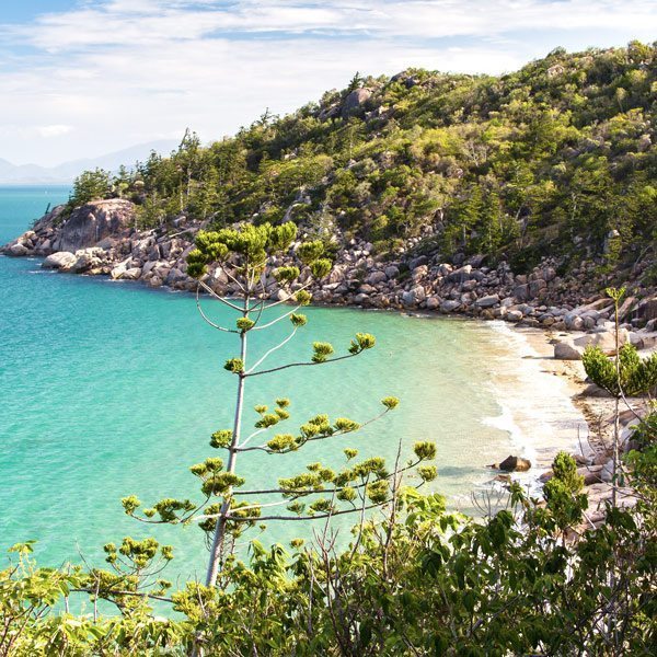 Things To Do Magnetic Island Townsville 02
